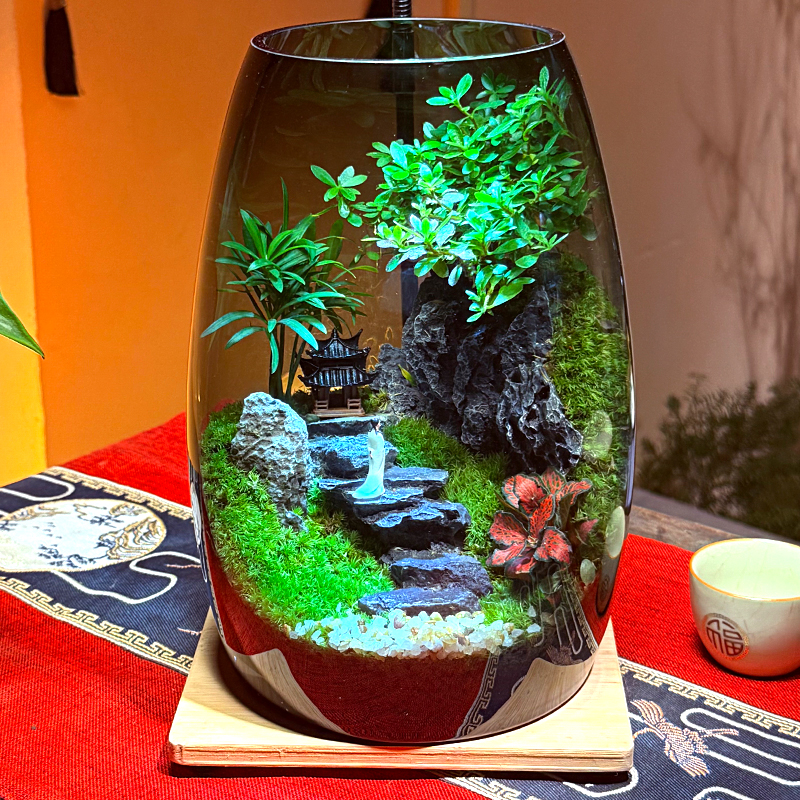 Button Fern2 - Image 2