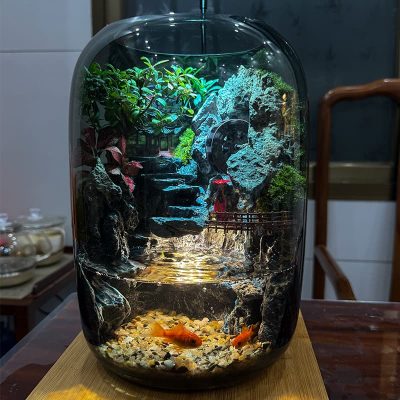 fortune terrarium 14