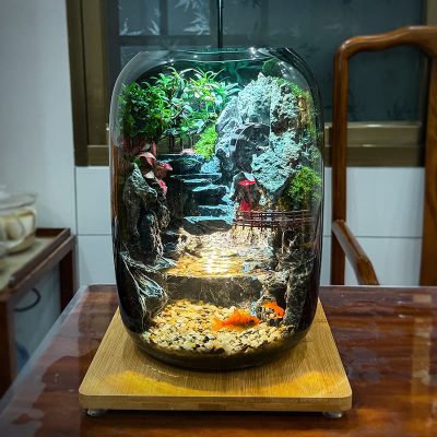 fortune terrarium 15