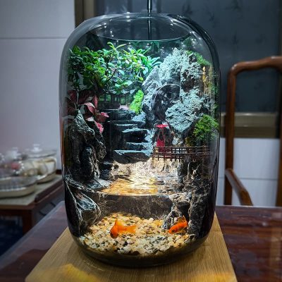fortune terrarium 16