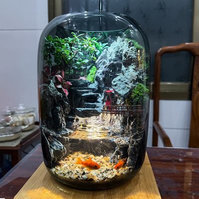 fortune terrarium 17