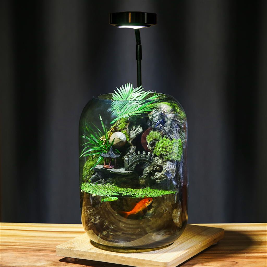 Fortune Terrarium Classic - Handcrafted Glass Miniature Garden with LED Light - Best Seller - Image 2