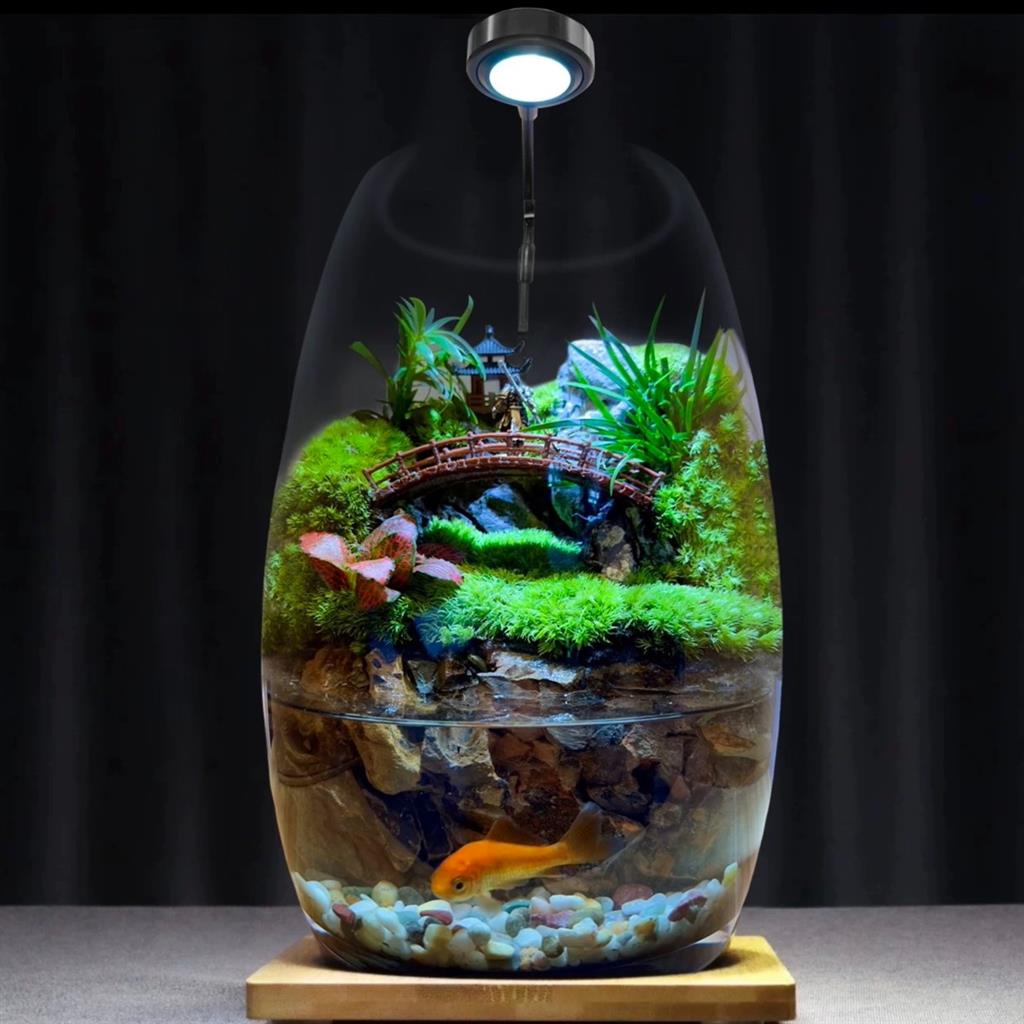 Fortune Terrarium Deluxe - Luxury Handcrafted Glass Miniature Garden with LED Light - Image 4
