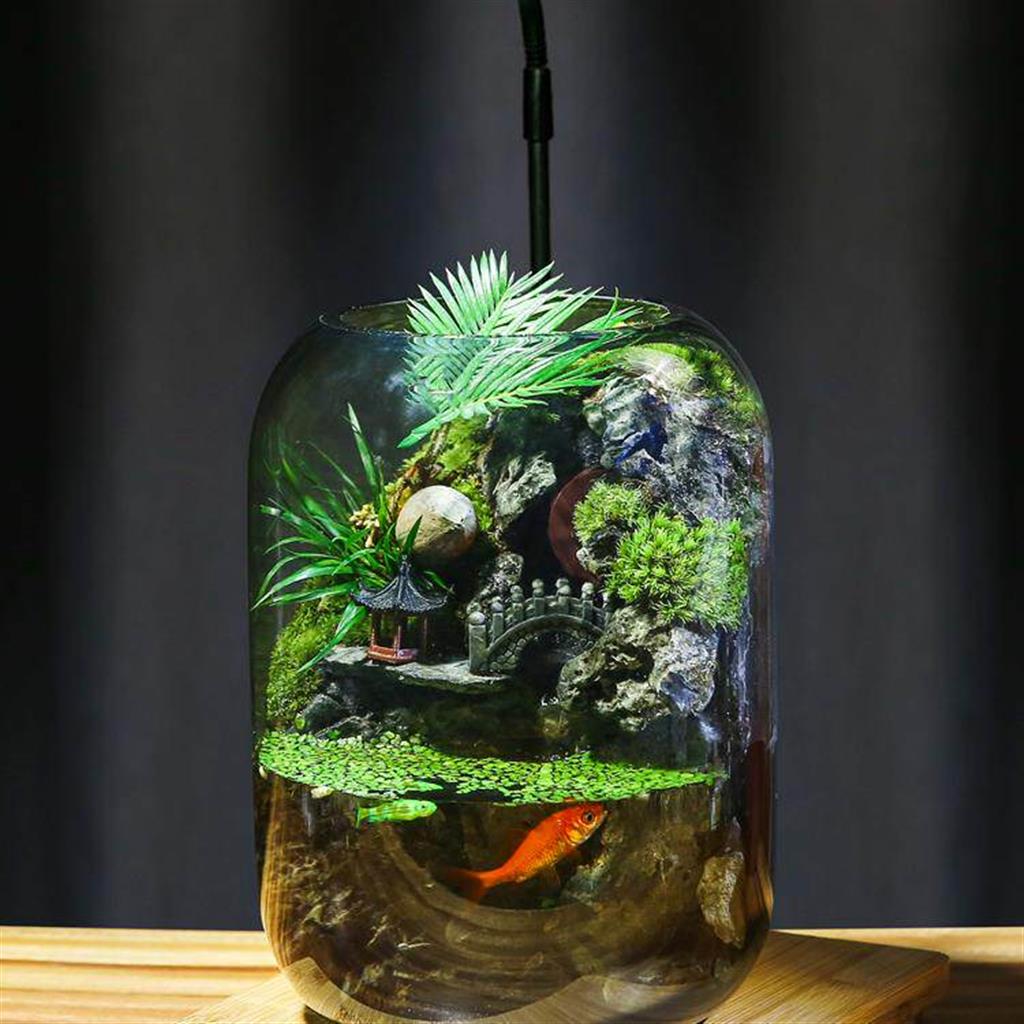 Fortune Terrarium Classic - Handcrafted Glass Miniature Garden with LED Light - Best Seller - Image 8
