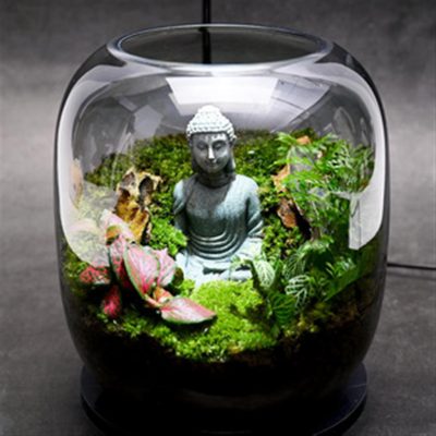 Zen Buddha Terrarium - Spiritual Glass Miniature Garden with LED Light