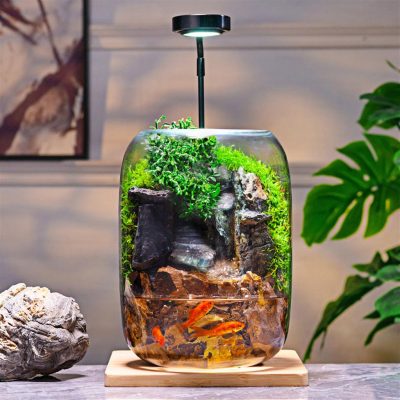 Fortune Terrarium Gift Set - Premium Handcrafted Glass Miniature Garden with LED Light