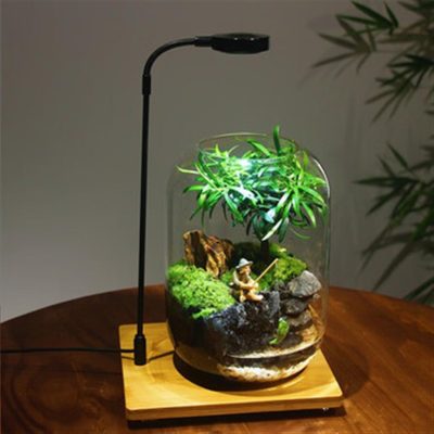 Fortune Terrarium Mini - Compact Handcrafted Glass Miniature Garden with LED Light